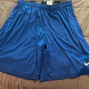 Nike Blue Athletic Shorts with Elastic Waistband.  Shorts have a draw string.